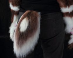 Fantasy canine realistic fursuit partial 8
