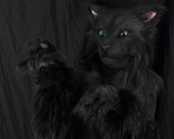 Black cat realistic fursuit partial 1