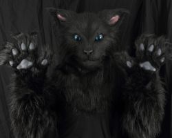 Black cat realistic fursuit partial 2