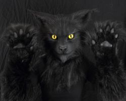 Black cat realistic fursuit partial 5