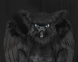 Black gryphon realistic fursuit partial with wings 2