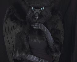 Black gryphon realistic fursuit partial with wings 1