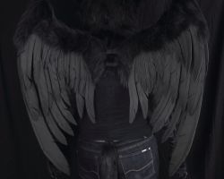 Black gryphon realistic fursuit partial with wings 5