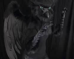 Black gryphon realistic fursuit partial with wings 6